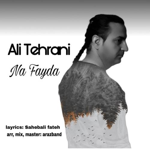 دانلود آهنگ جدید علی تهرانی بنام نه فایدا